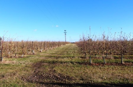 nieruchomość gruntowa ok 16 ha w Kokaninie -  Kolonia Kokanin  -
Zdjęcie nr 12