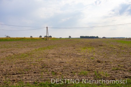 działka budowlana 1433 m2 Zadowice gm Godziesze -  Zadowice  -
Zdjęcie nr 2