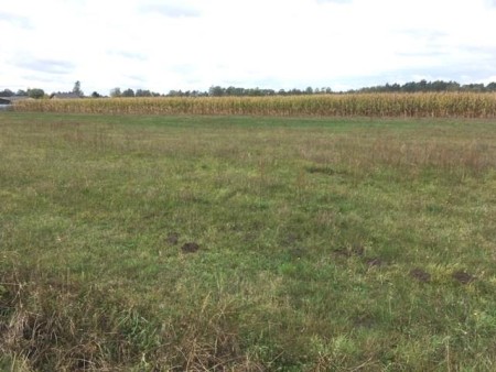 Sprzedam Działkę budowlaną w Gminie Ceków -  Kuźnica  -
Zdjęcie nr 2