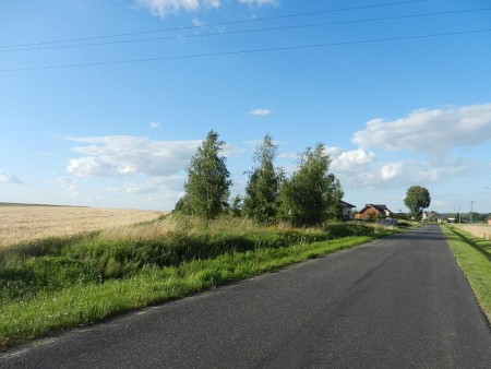 Działka 1500m2 5 km od granicy Kalisza - Kalisz   -
Zdjęcie nr 2